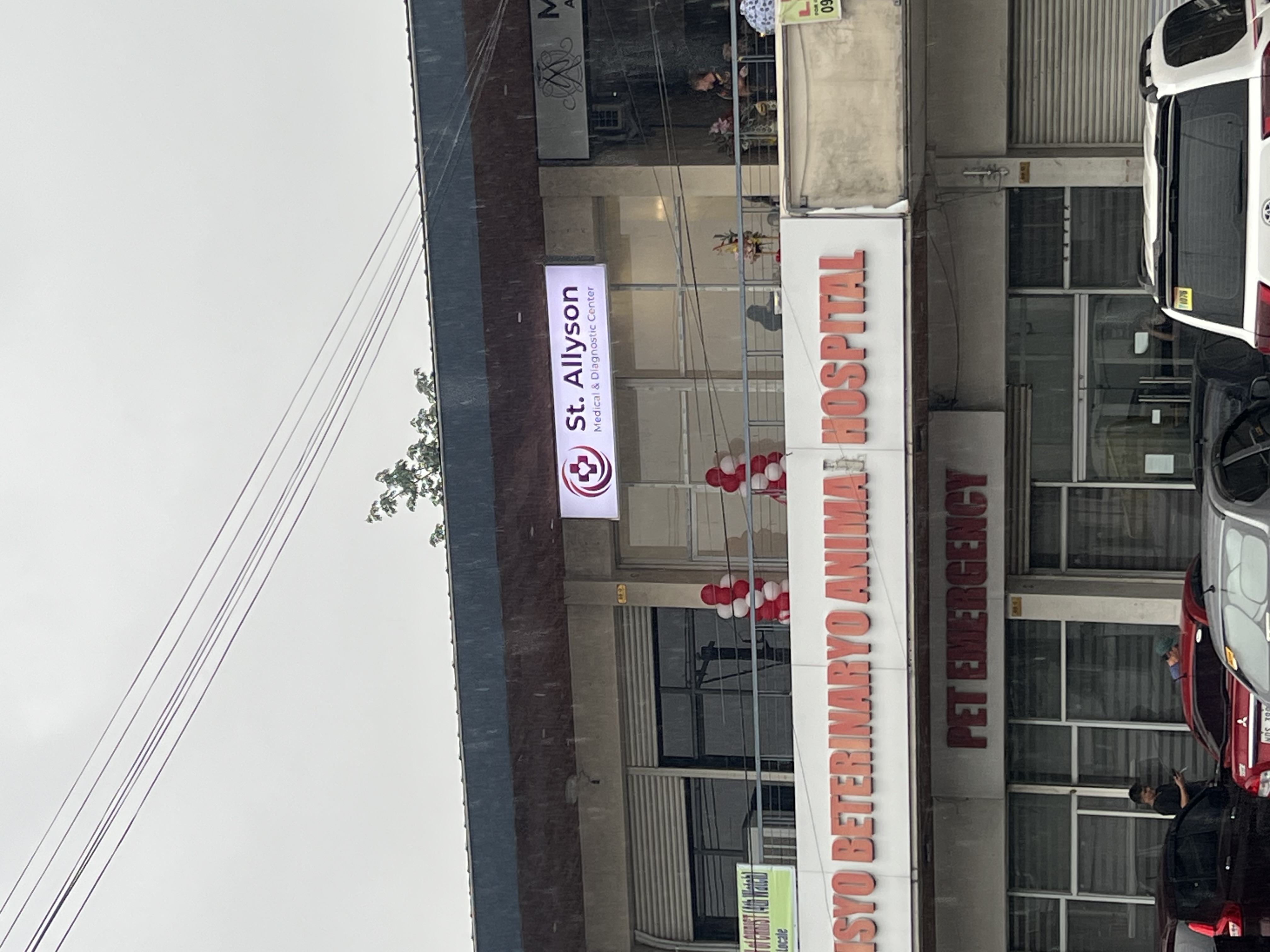 St. Allyson Medical and Diagnostic Center photo 1